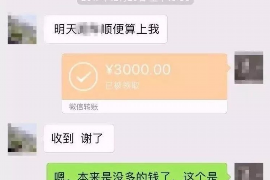 无为企业清欠服务